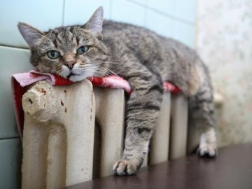 Із лічильником за опалення часом доводиться платити більше