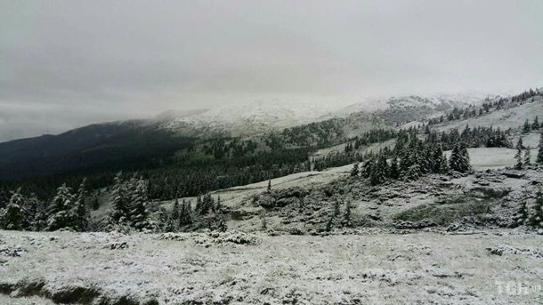 Карпати засипало снігом. ФОТО