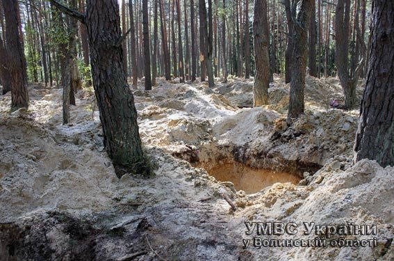 Під час проведення спецоперації на Волині затримали близько 80 бурштинокопачів. ФОТО. ВІДЕО