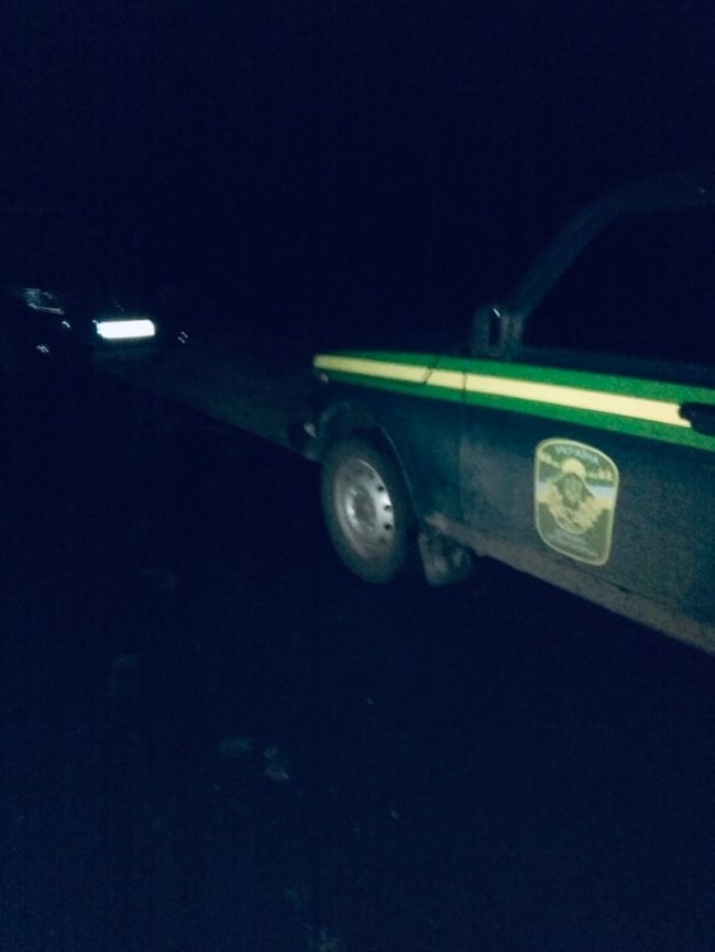 На Волині браконьєри застрелили козулю