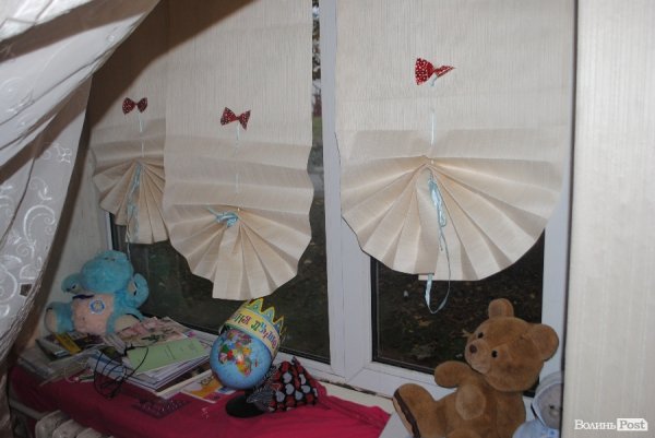 Студентський ревізор: жалюзі з шпалер та «тушкований голуб» в гуртожитку №3