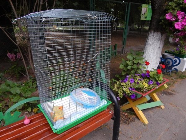 Луцький зоопарк просить допомоги