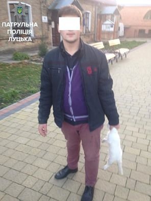 У Луцьку затримали чоловіка, який вбив кота. ФОТО