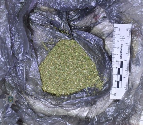 У ковельчанина знайшли марихуану