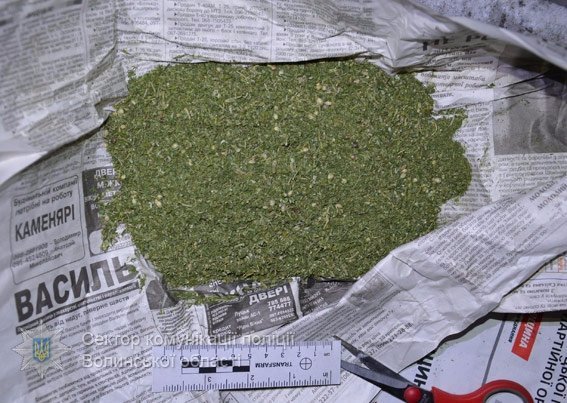 У ковельчанина знайшли марихуану