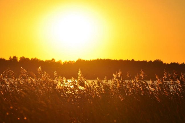 Краса Пісочного озера на знімках місцевого фотографа