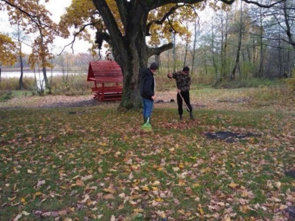 У волинських лісах – санітарний день. ФОТО
