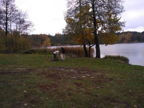 У волинських лісах – санітарний день. ФОТО