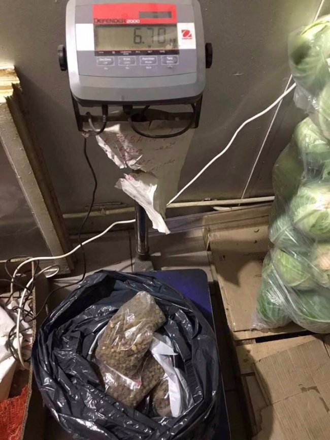 На Волині вилучили 6,7 кілограмів контрабандного бурштину