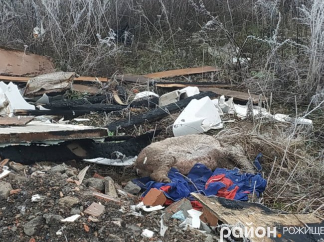 У Рожищенському районі   люди викидають на сміттєзвалище туші свиней. ФОТО