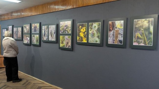 На війні зняв понад 5000 макросвітлин: дружина безвісти зниклого бійця з Волині організувала виставку його фото