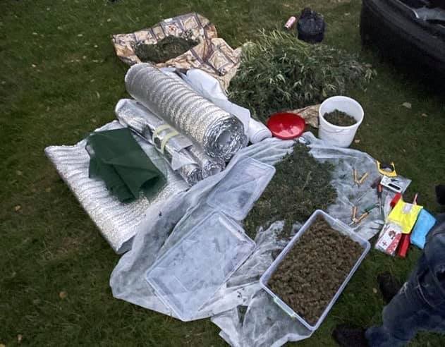 Волинянин вирощував і продавав канабіс. ФОТО