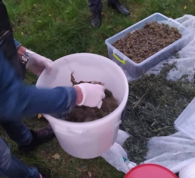 Волинянин вирощував і продавав канабіс. ФОТО