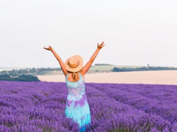 Лавандове поле на Рівненщині відкрило туристичний сезон