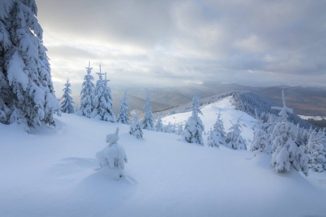 Луцький фотограф поділився світлинами засніжених Карпат