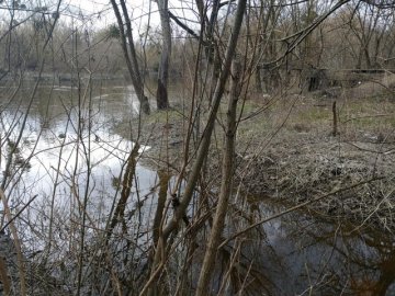 У луцькому центральному парку просять встановити пішохідний міст через річку