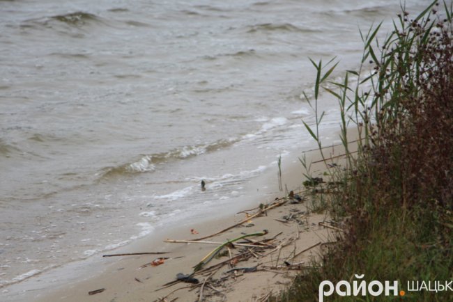 Холодний та грізний Люцимер: фото волинського озера