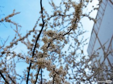 Добрі новини від ВолиньPost за 29 квітня 