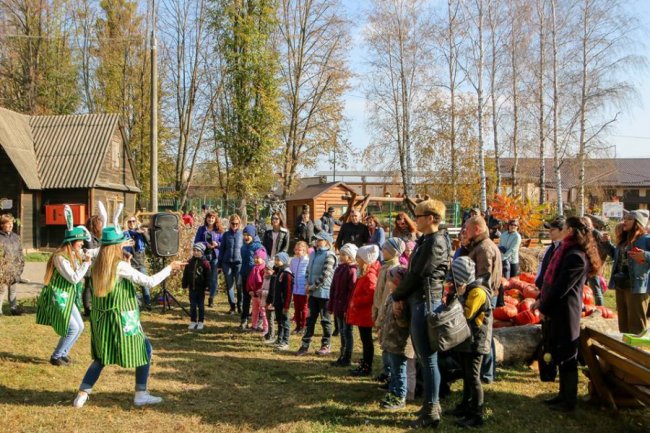 У Луцькому зоопарку відгуляли свято гарбуза: як це було. ФОТО