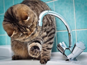 Коли і де в Луцьку відключатимуть гарячу воду. ГРАФІК