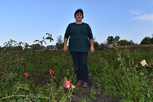 Сім'я волинян біля власного будинку створила трояндовий рай
