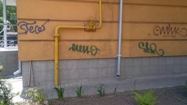 У Луцьку проведено рейд щодо дотримання Правил благоустрою. ФОТО