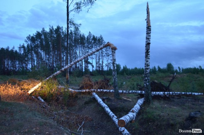 На Волині буревієм повалило дерева. ФОТО