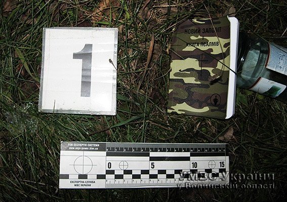 У Ковелі п'яниця убив чоловіка. ФОТО 