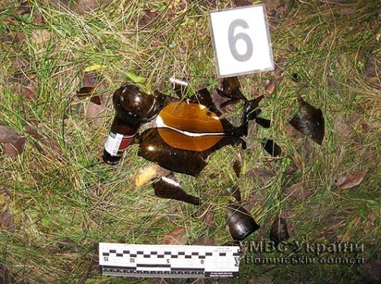 У Ковелі п'яниця убив чоловіка. ФОТО 