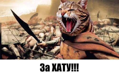 Бабуся і кіт: фотожабоманія триває. ФОТО