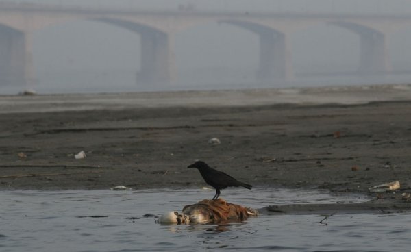 Кращі фото 2012 року