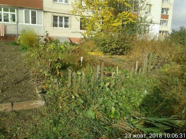 У Луцьку муніципали знесли декілька парканів. ФОТО