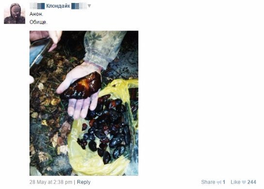 «Непоганий підйом, як для першого разу», - бурштинокопачі в соцмережах проводять майстер-класи ФОТО. ВІДЕО