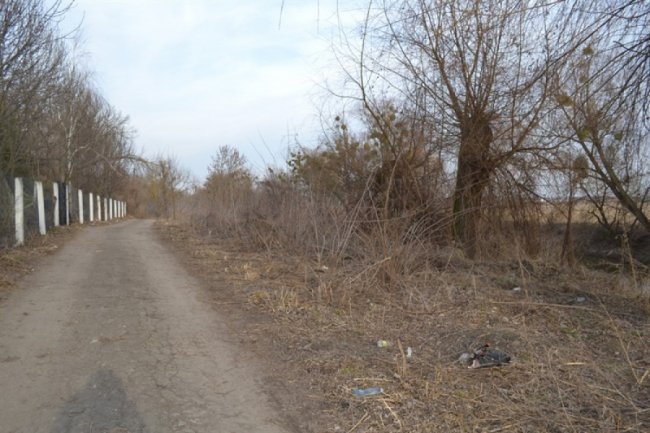 Околиці Луцького замку «тонуть» у смітті. ФОТО
