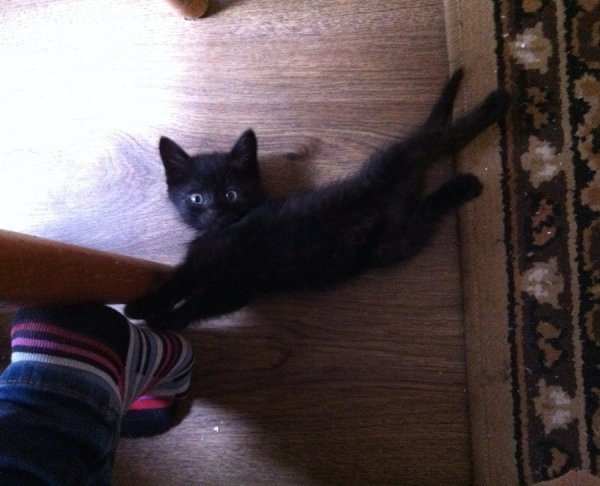 Фотовиставка Лідії Кожевнікової