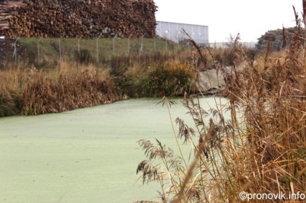 Завод на Волині «шокував» журналістів. ВІДЕО