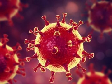 ВООЗ не виключає, що коронавірус таки «втік» з лабораторії