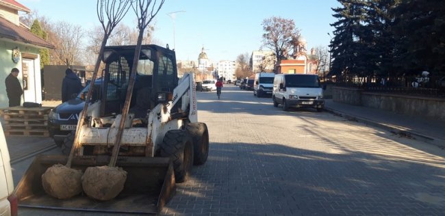У Ковелі висадили алею сакур. ФОТО