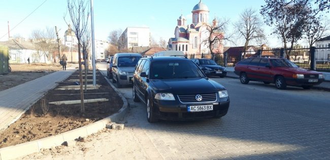 У Ковелі висадили алею сакур. ФОТО