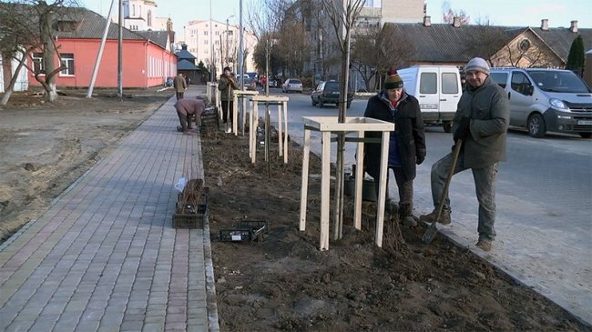У Ковелі висадили алею сакур. ФОТО
