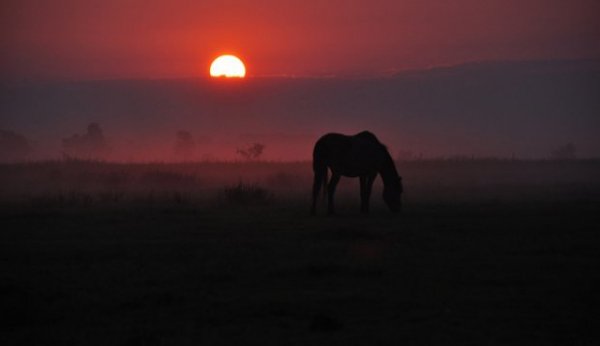 Неймовірна природа — гордість нашої країни. ФОТО