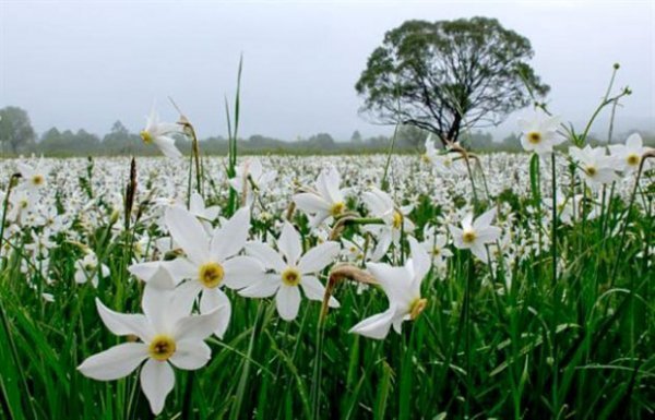 Неймовірна природа — гордість нашої країни. ФОТО