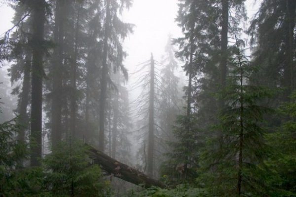 Неймовірна природа — гордість нашої країни. ФОТО