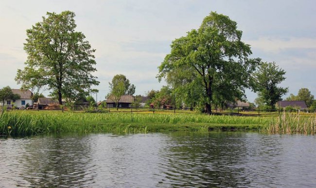 Волинський фотограф показав неймовірну природу Волині у різні пори року. ФОТО