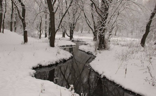 Волинський фотограф показав неймовірну природу Волині у різні пори року. ФОТО