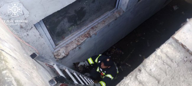 На Волині горіли господарська будівля та автомобіль