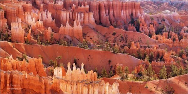 20 кадрів неймовірної природи. ФОТО