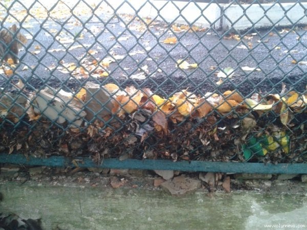 Двір після впорядкування