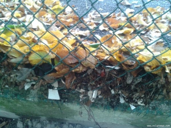 Двір після впорядкування