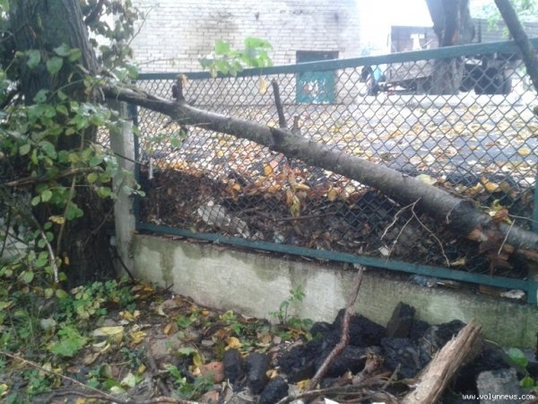 Двір після впорядкування